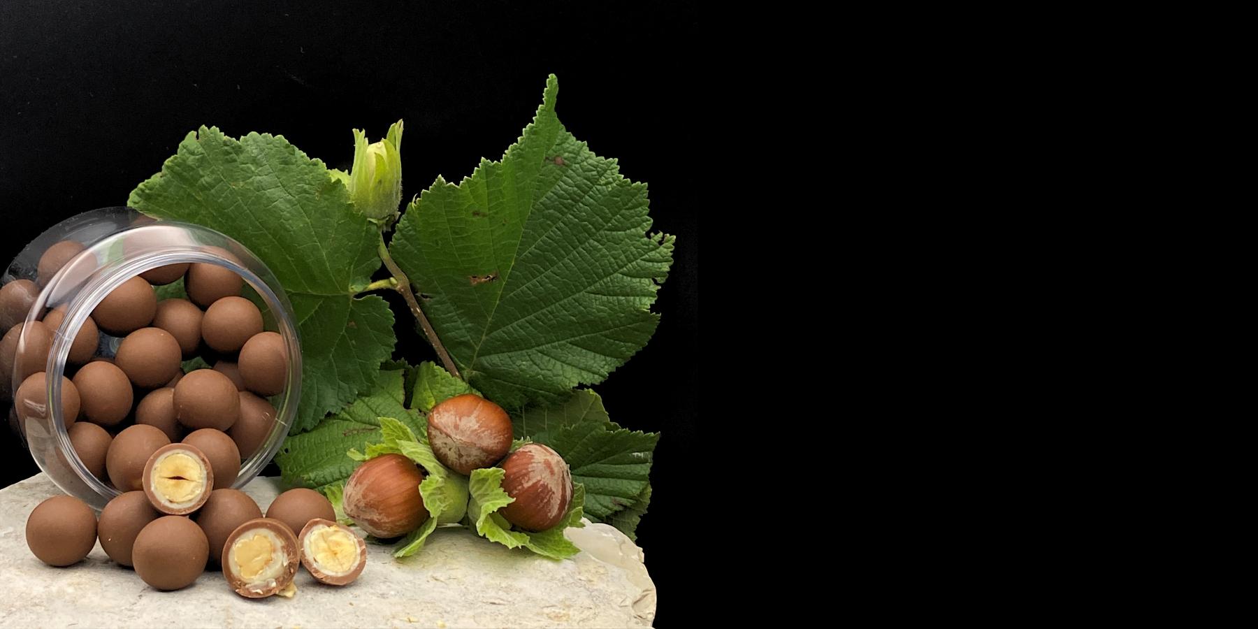 Edle Piemonteser Haselnüsse 